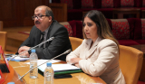 لجنة الخارجية بمجلس النواب تنظم الندوة العربية الثانية حول  "التكامل بين الدبلوماسية الرسمية والدبلوماسية الموازية"